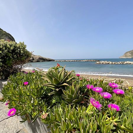 Casa Francesco Seaside Leilighet Sant'Angelo  Eksteriør bilde