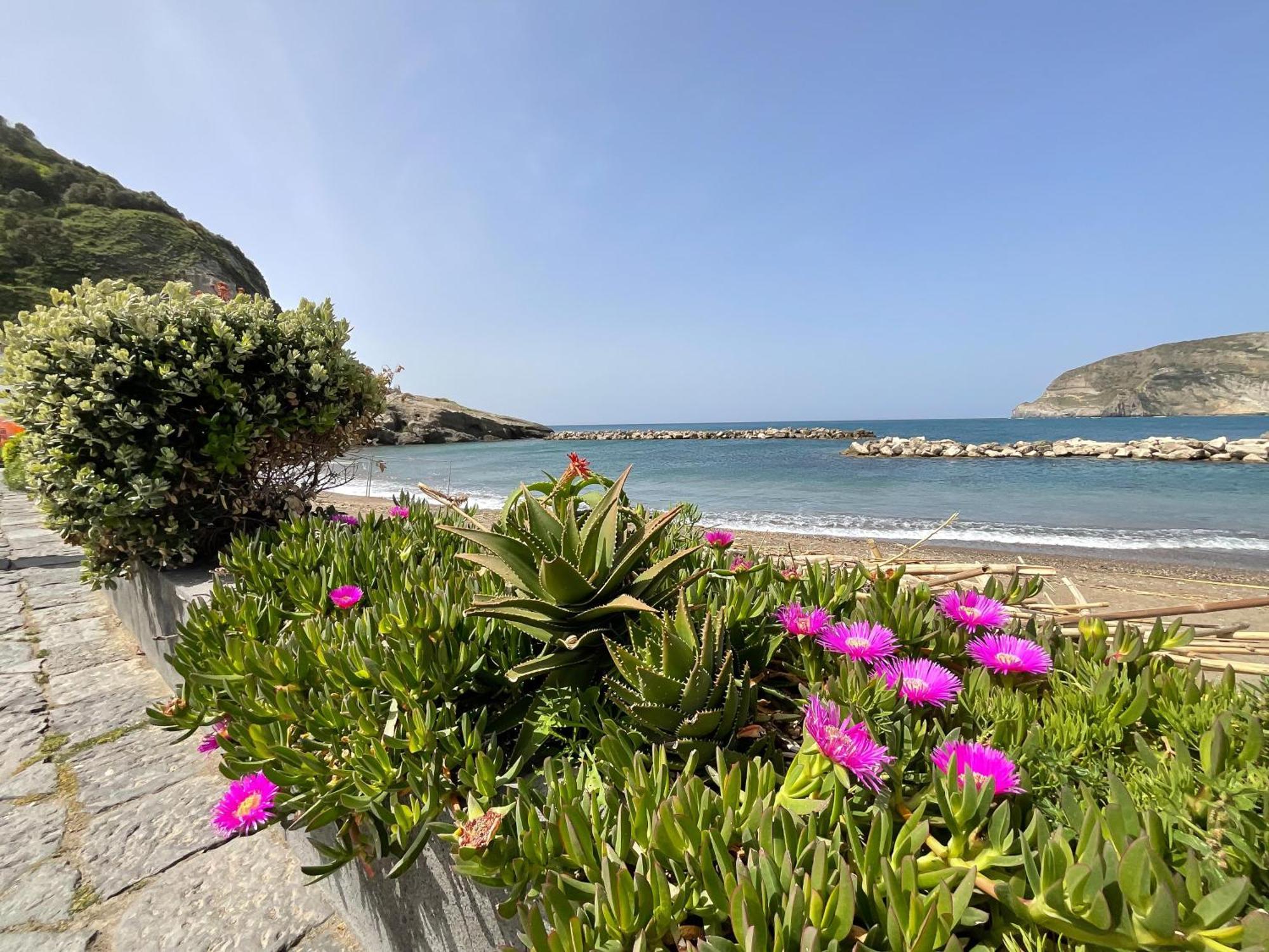 Casa Francesco Seaside Leilighet Sant'Angelo  Eksteriør bilde